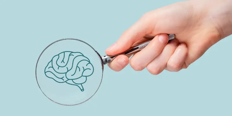 Sistema límbico: estruturas, funções e relevância para a prática psicológica