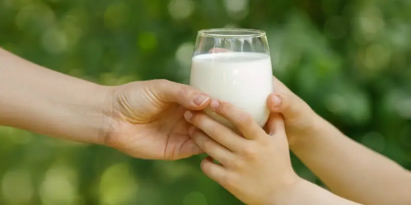 Alergia ao leite de vaca (APLV): como identificar?