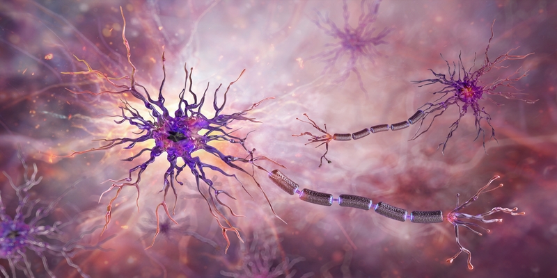 Neurobiologia do Trauma: como experiências extremas reorganizam o cérebro e o comportamento