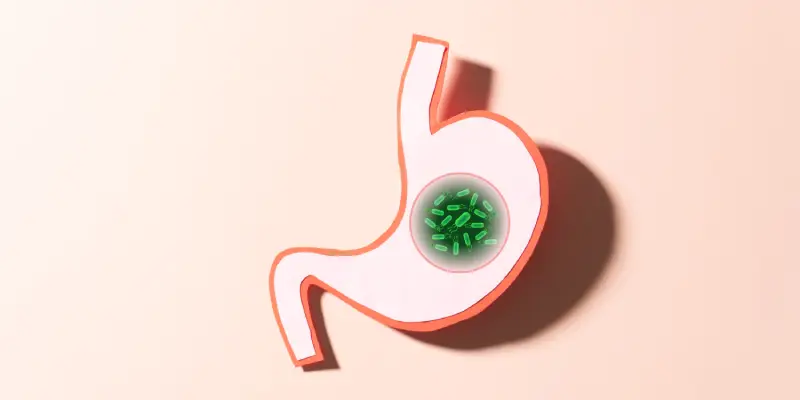 H. Pylori: quais as opções de tratamento?