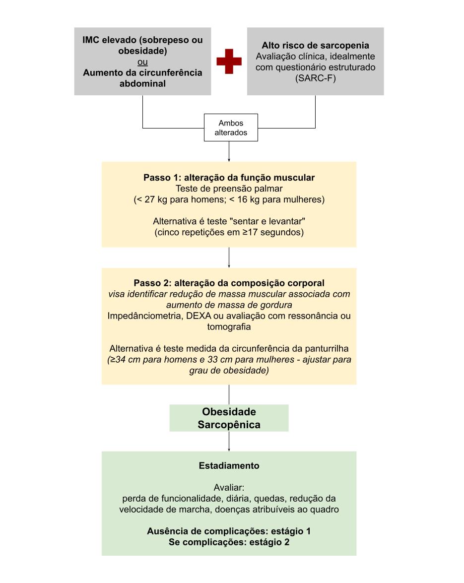 Fluxograma para diagnóstico da obesidade sarcopênica: rastreamento por adiposidade e risco de sarcopenia, avaliação da força muscular, composição corporal e estadiamento.