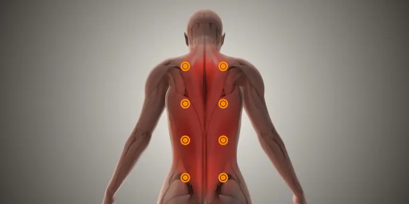 Terapia manual e liberação miofascial para dor musculoesquelética: evidências atuais